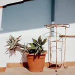 Casa Na T1 * Fuzeta